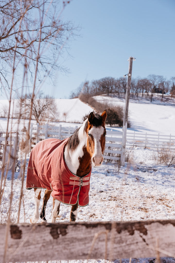 281 N Snipe Hollow Road