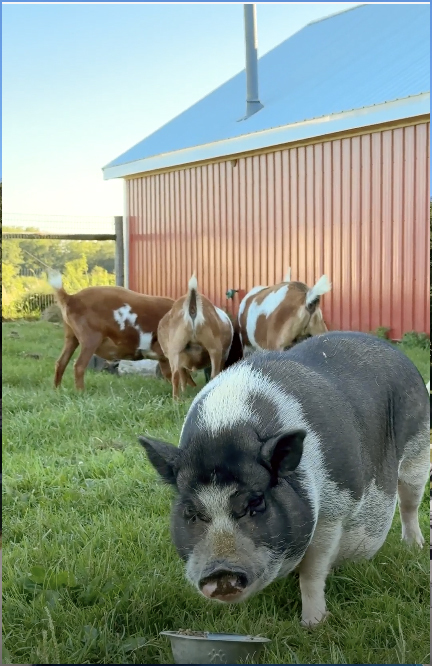 281 N Snipe Hollow Road