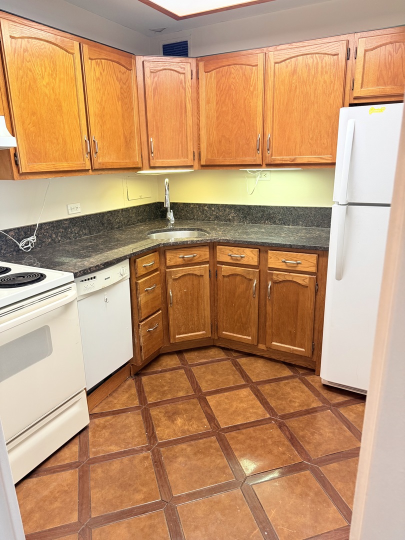 555 W Cornelia Avenue Unit: 1107