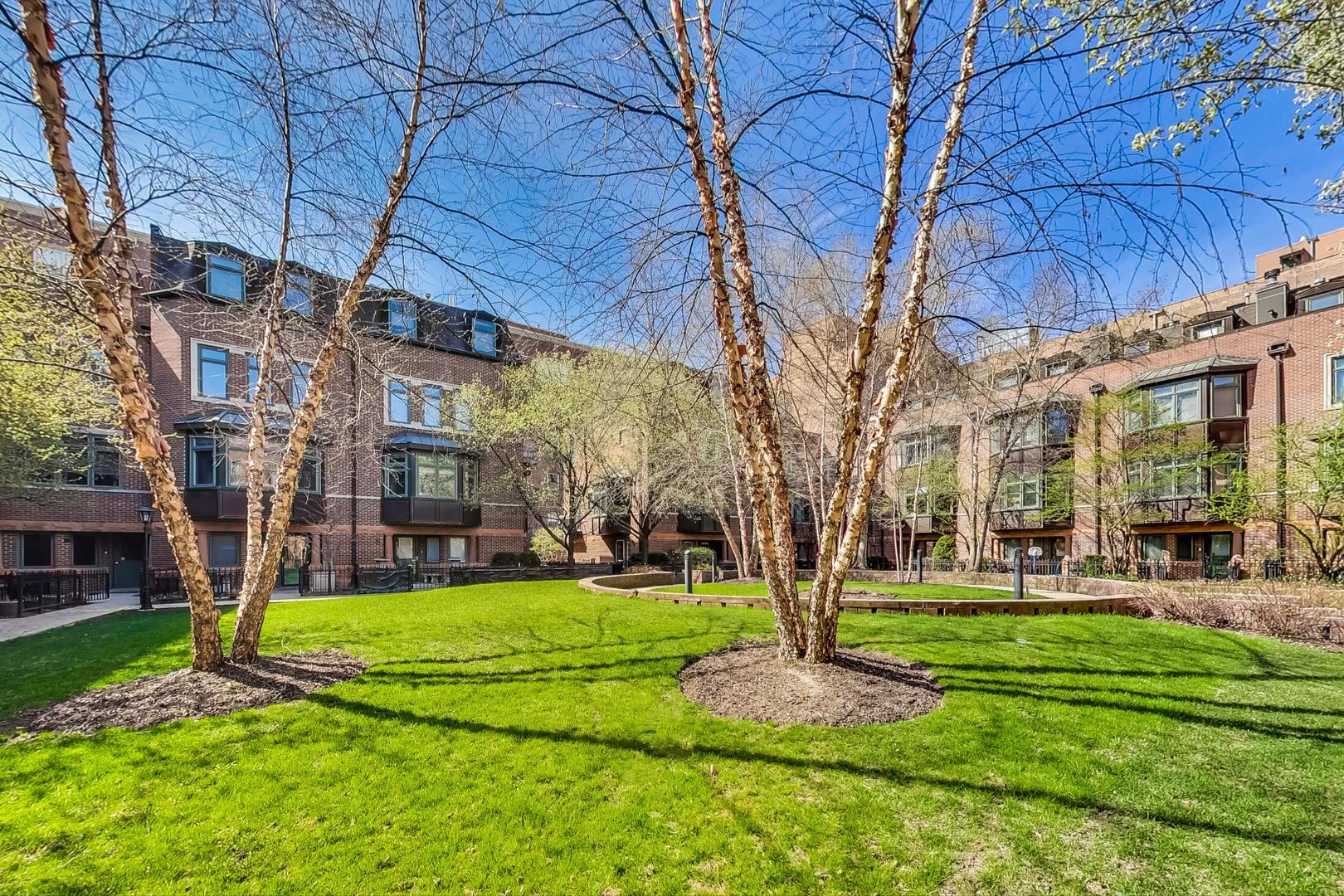 1351 W ALTGELD Street Unit: 4D