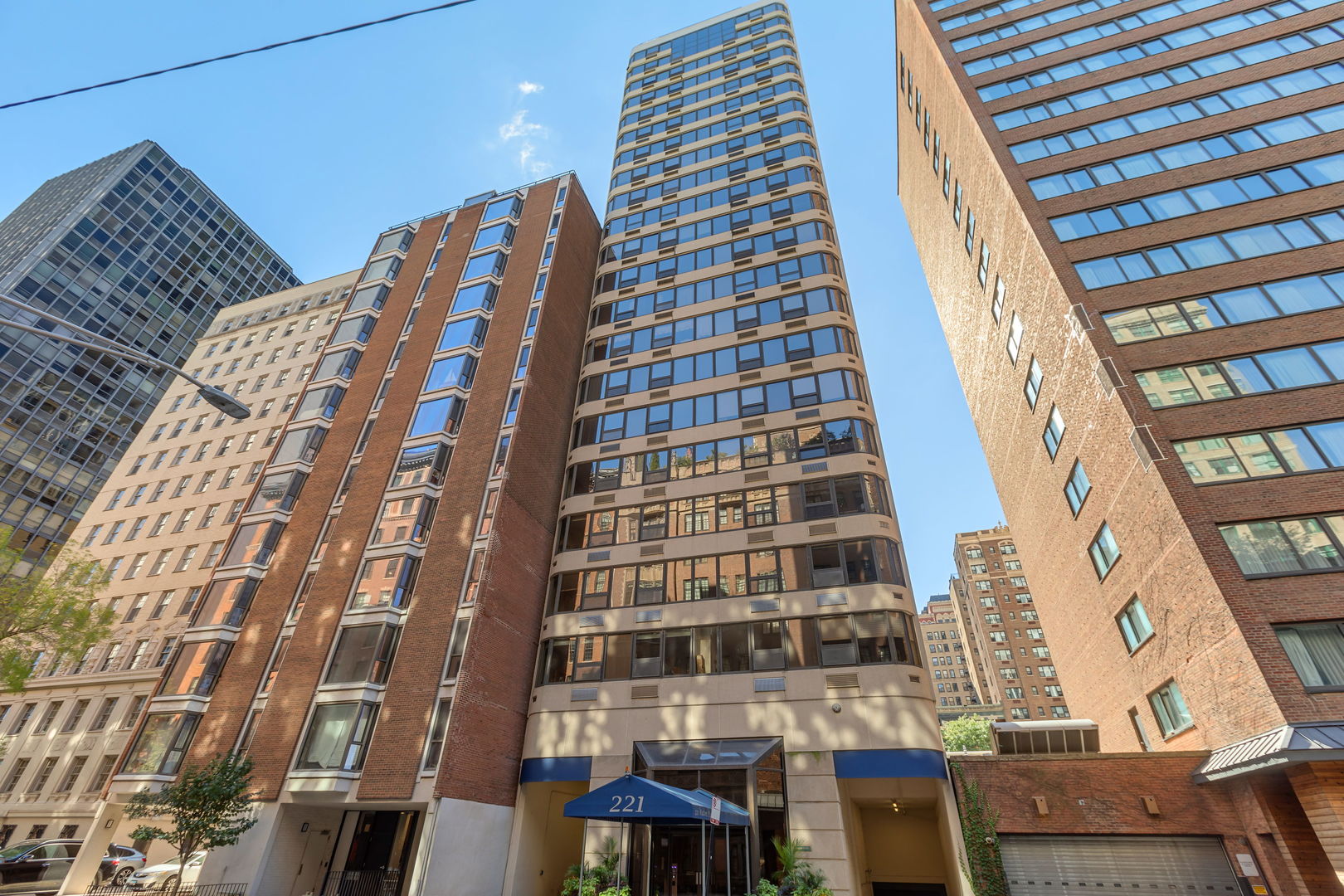 221 E Walton Place Unit: 19E