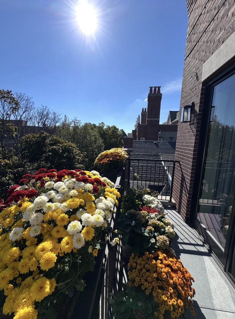 2650 N Racine Avenue Unit: 3