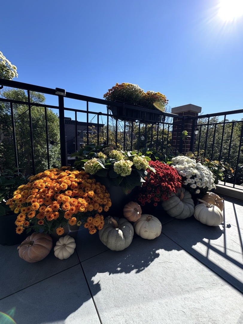 2650 N Racine Avenue Unit: 3