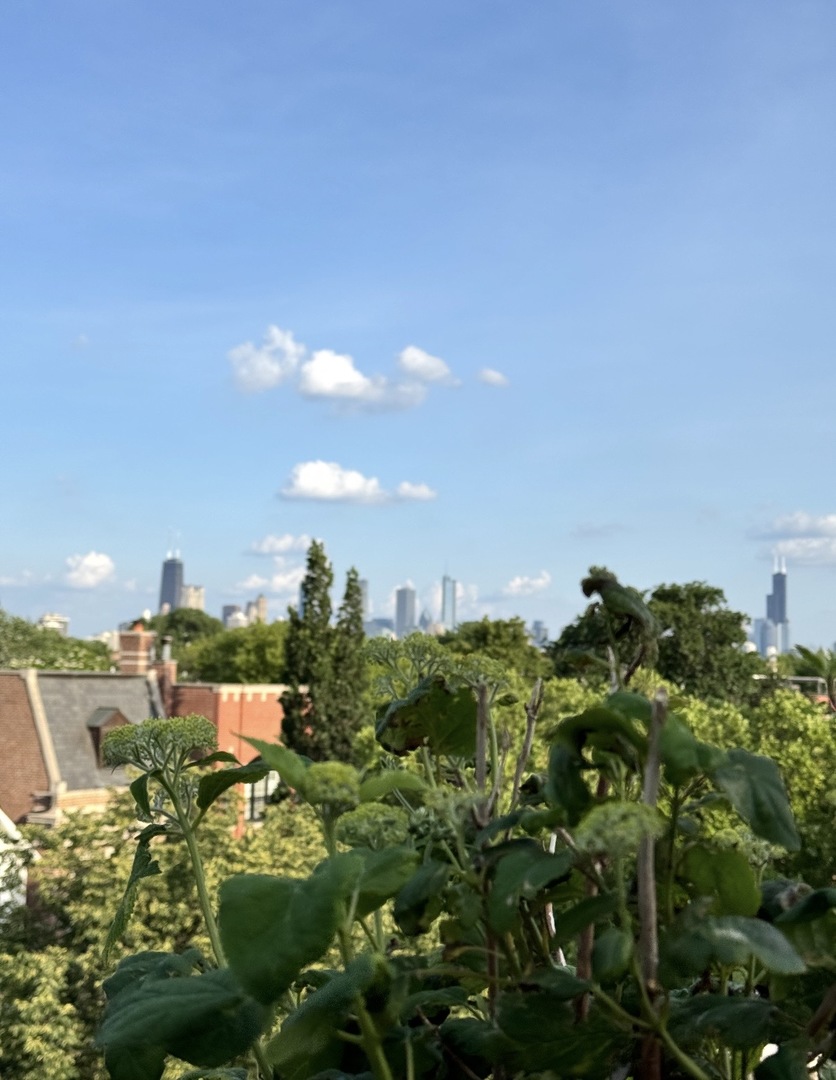 2650 N Racine Avenue Unit: 3