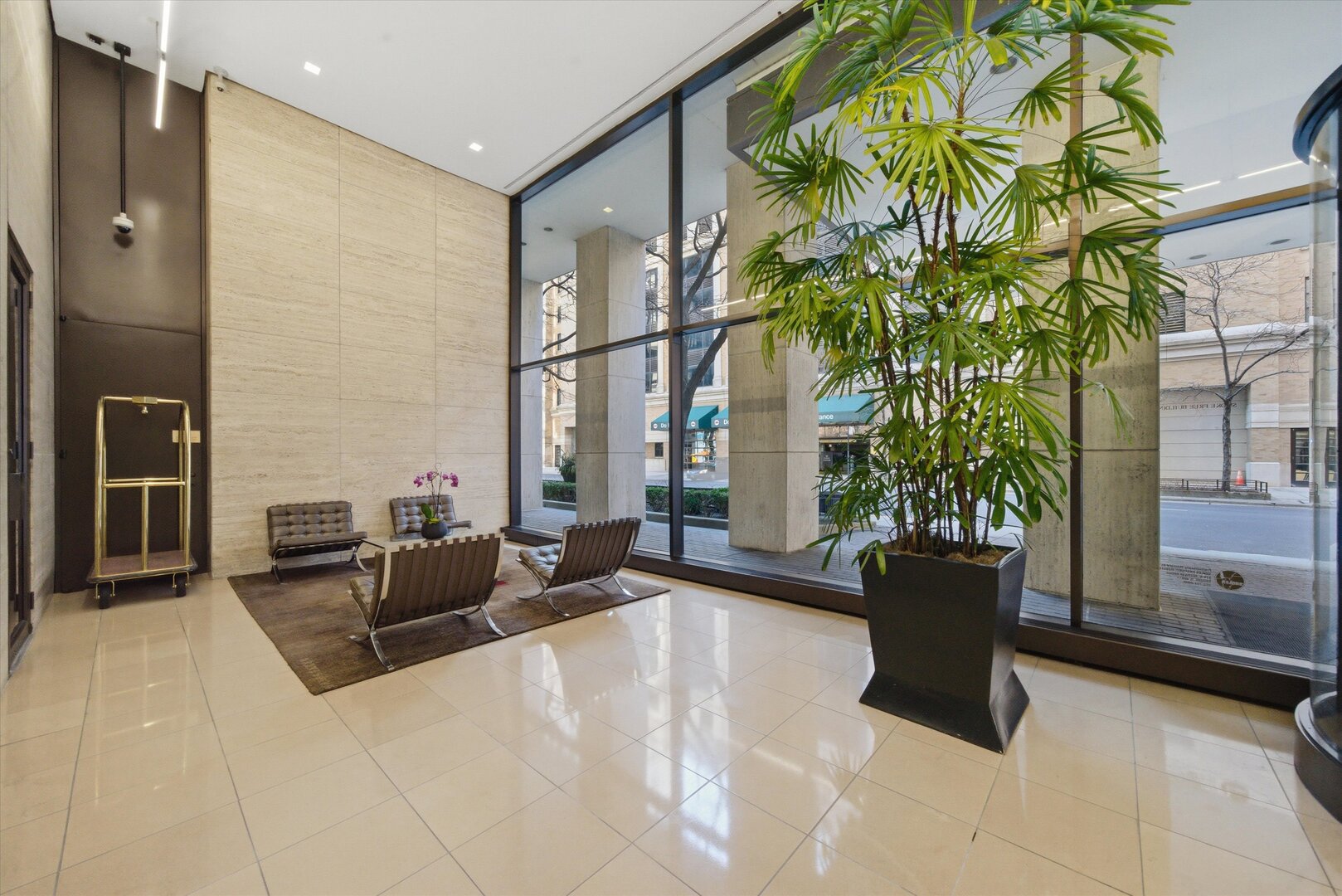 260 E Chestnut Street Unit: 2010
