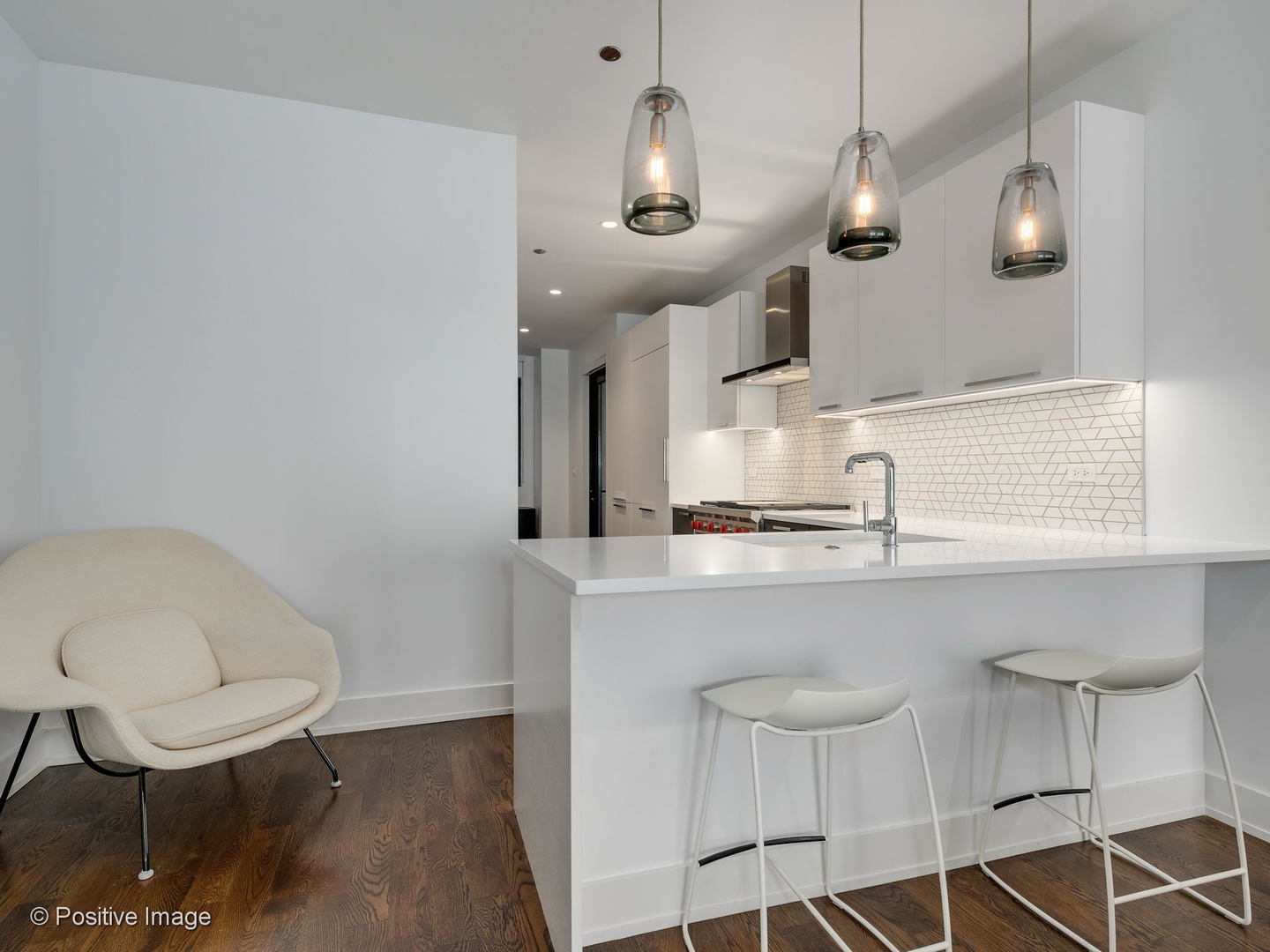 668 N Kingsbury Street Unit: 206