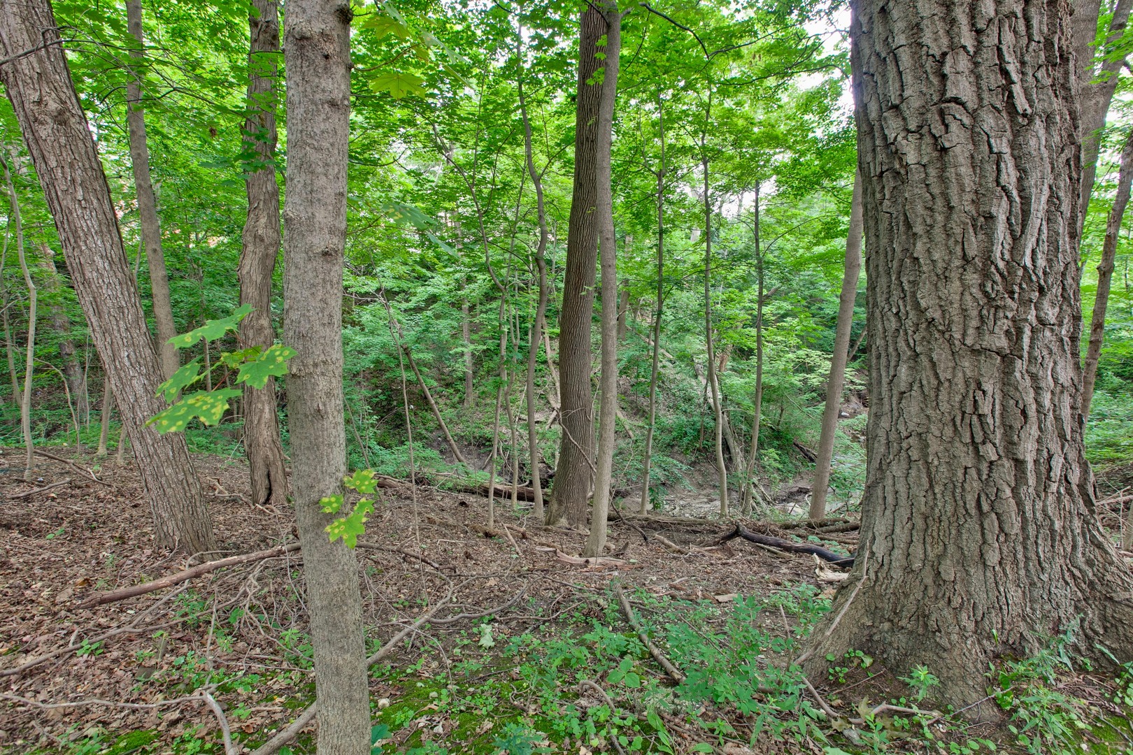 427 N Sheridan Road