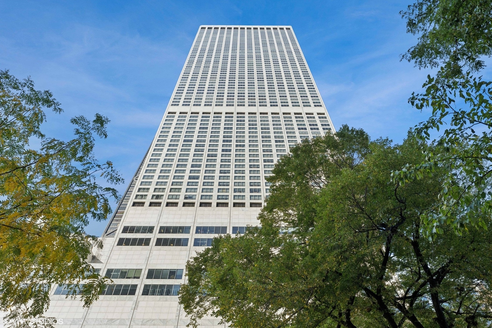 180 E PEARSON Street Unit: 4801