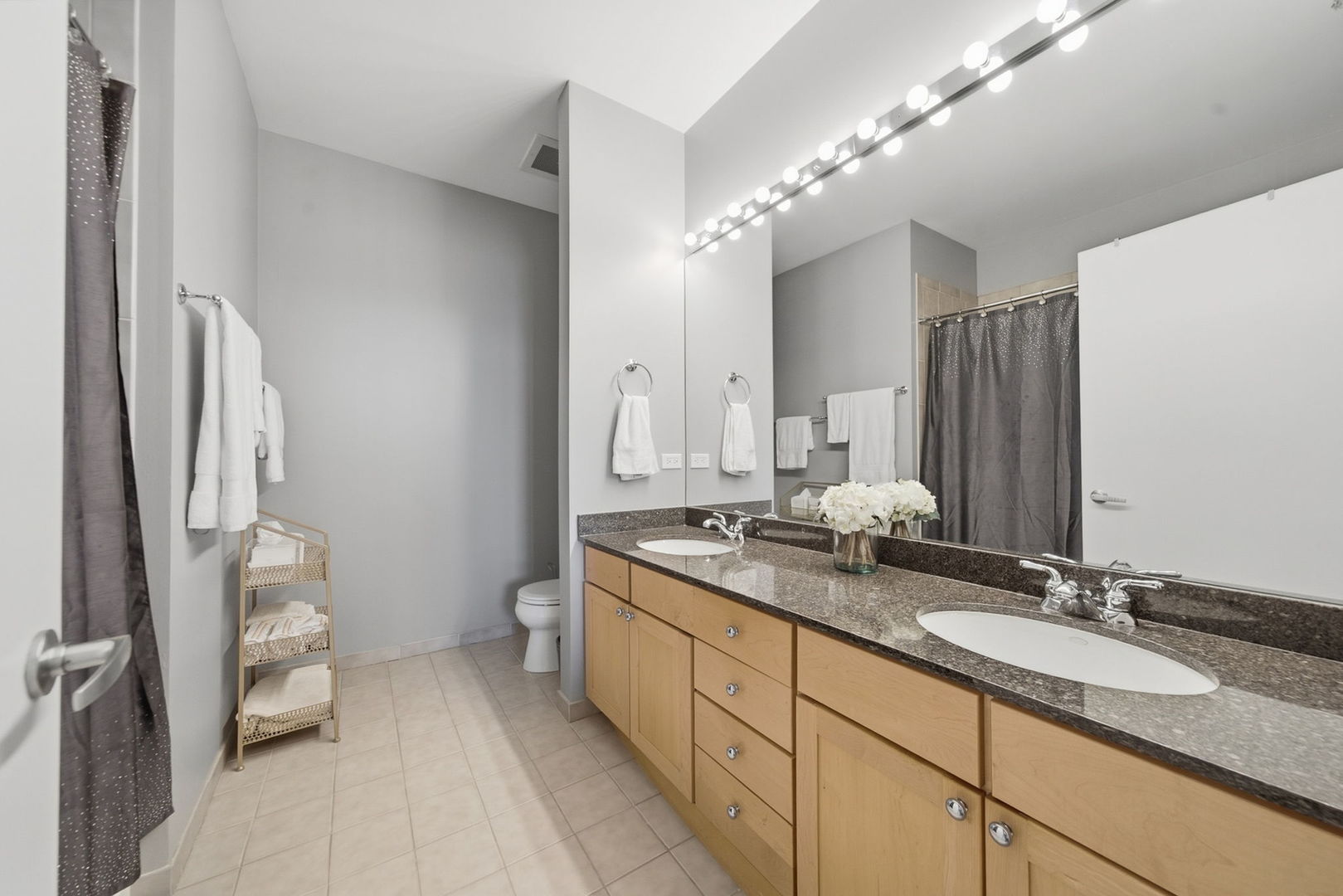 720 N Larrabee Street Unit: 1509