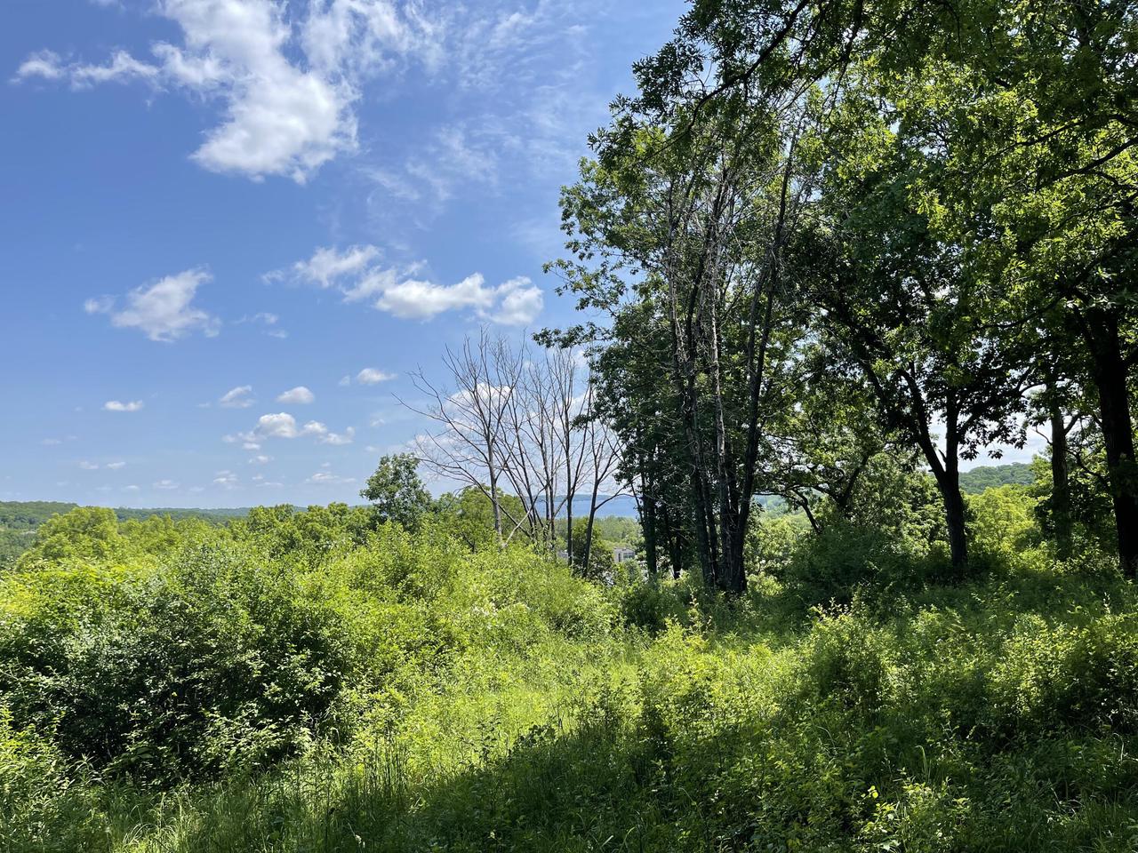 762 BEAR TRAP LANE Lt2