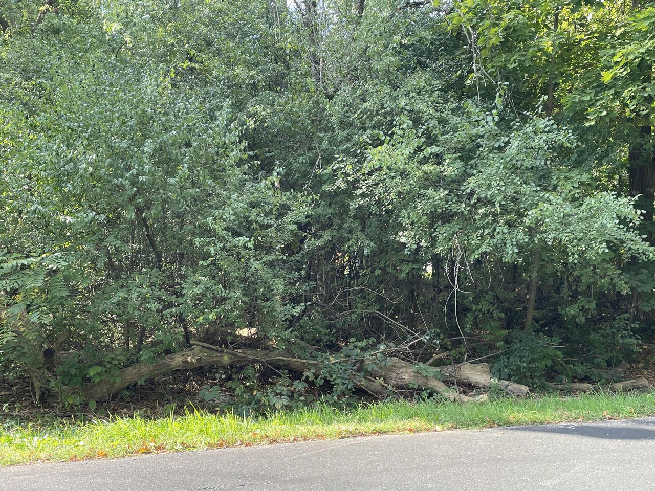 Lt7 KEARNEY ROAD Lt8