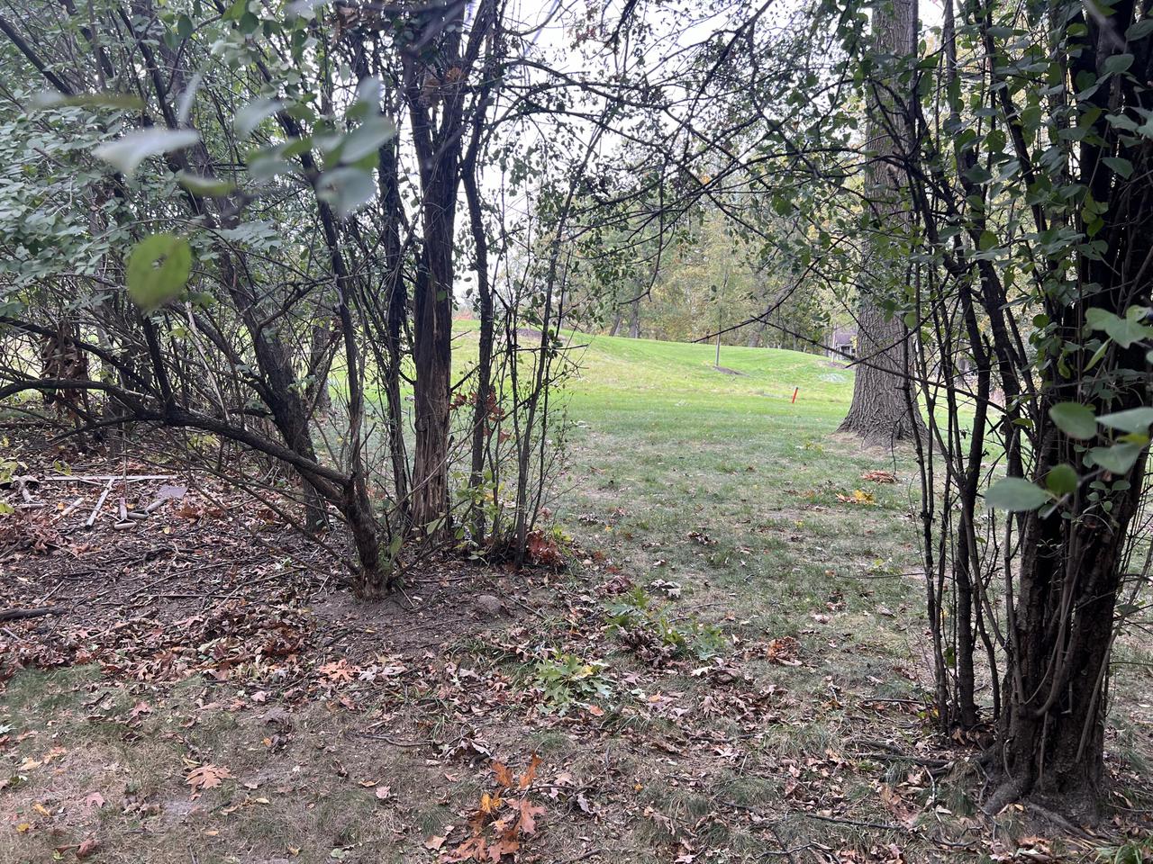 1401 Geneva Club DRIVE 18-01