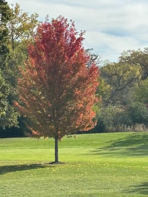 714 Thornridge COURT B