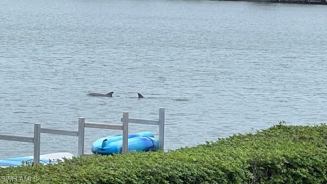 3420 Gulf Shore BLVD N # 21