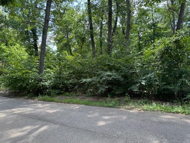 52300 E Arnold - LAND Drive