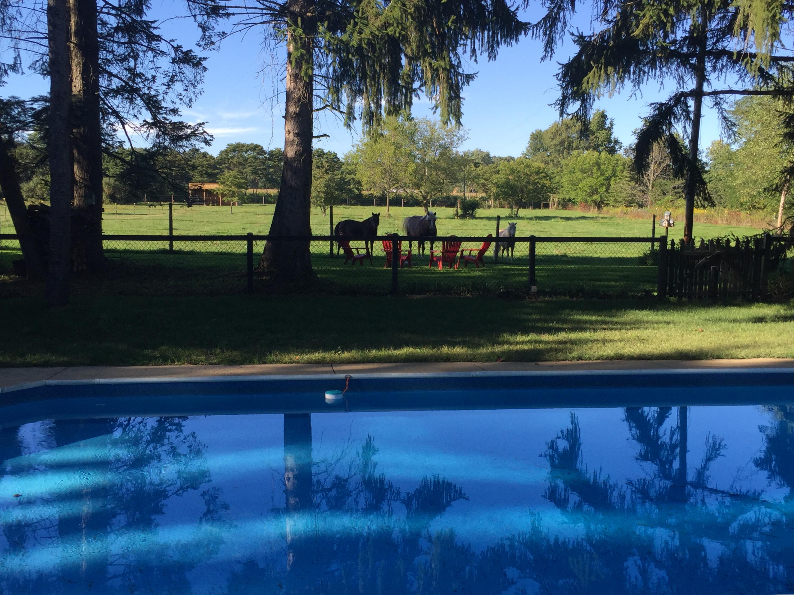 3995 W Bertrand Road