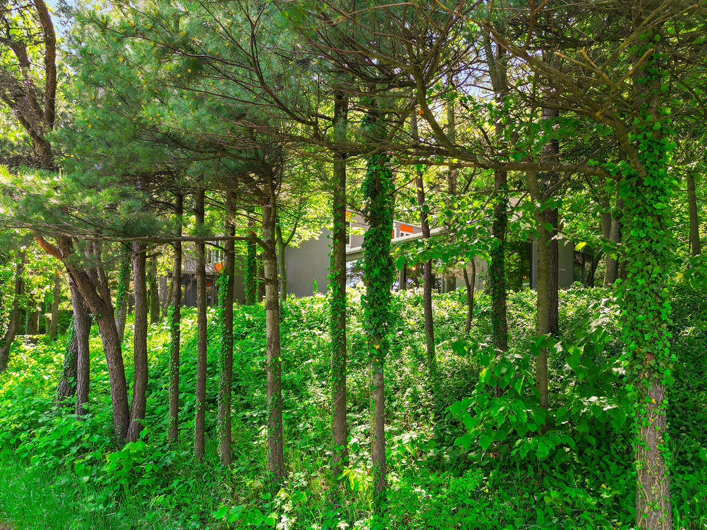 2 S Merrivale Avenue