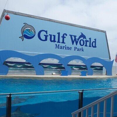 8730 Thomas Drive, 102