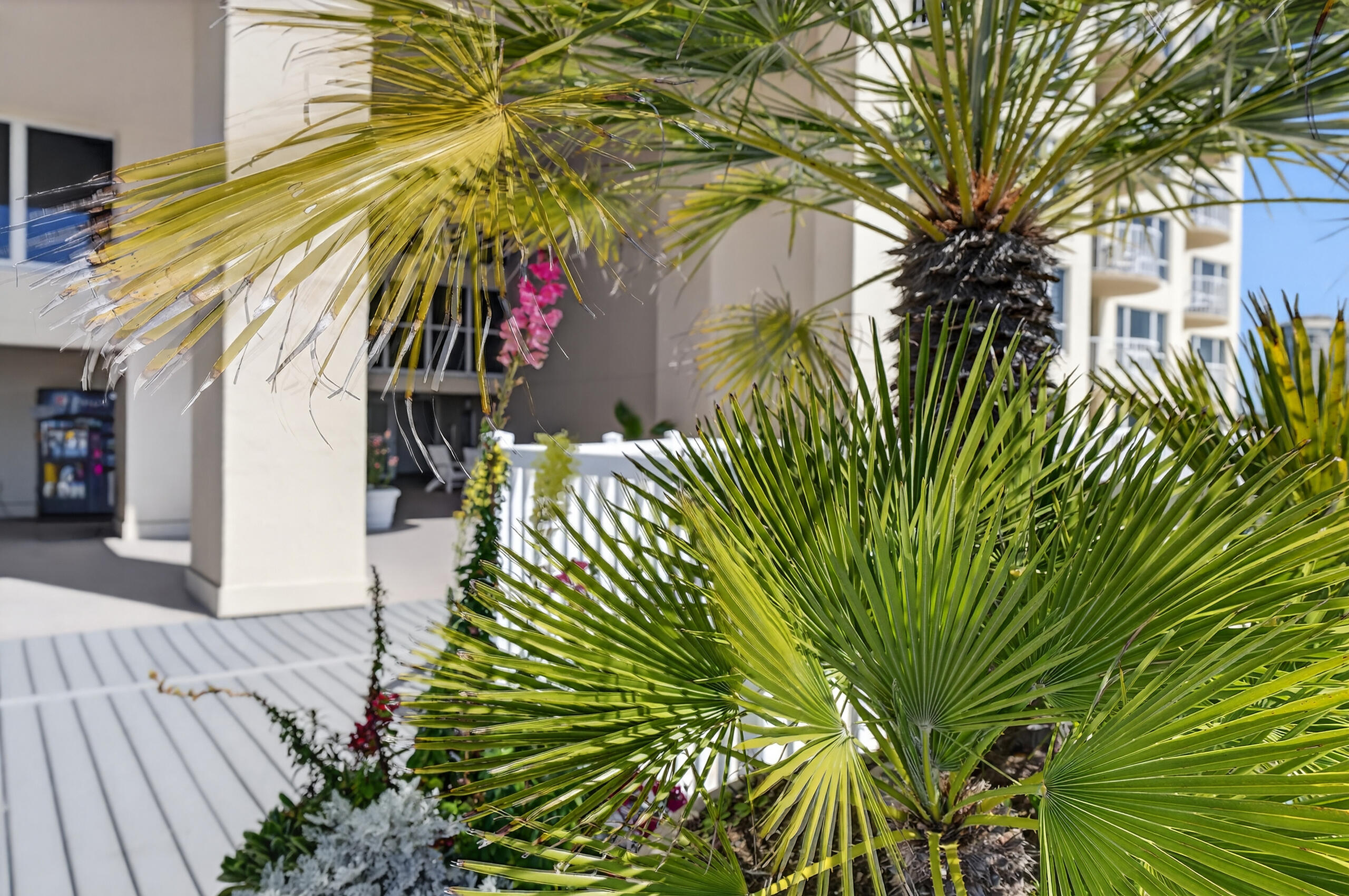 9815 Us Highway 98 # A402