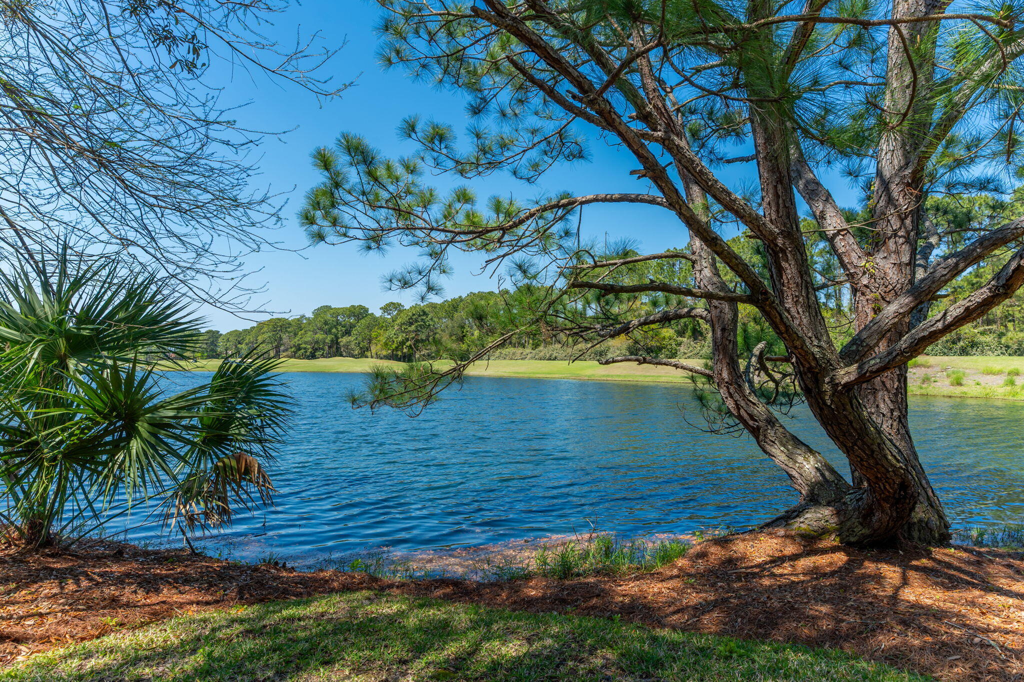 2943 Pine Valley Drive