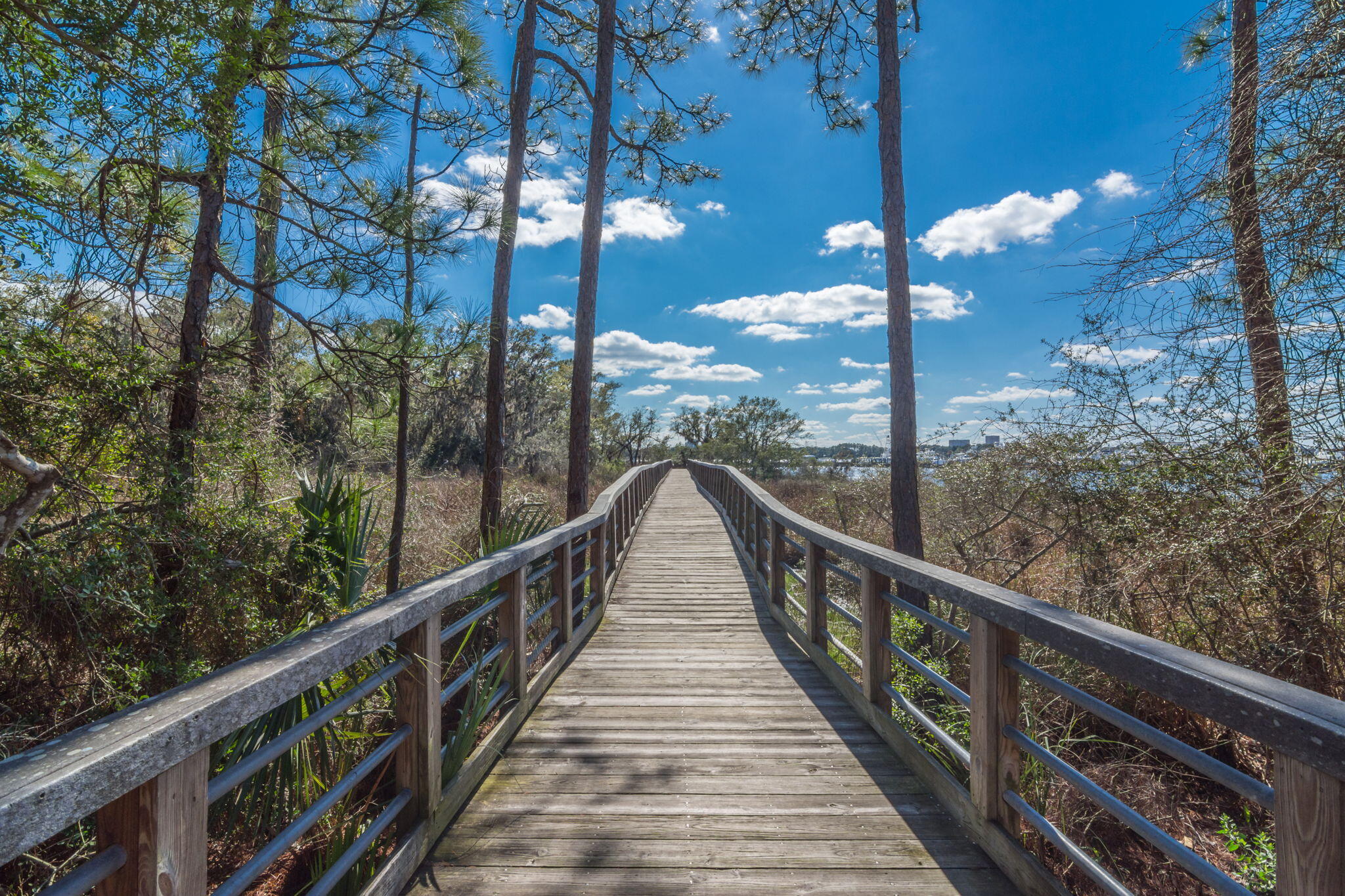 2943 Pine Valley Drive