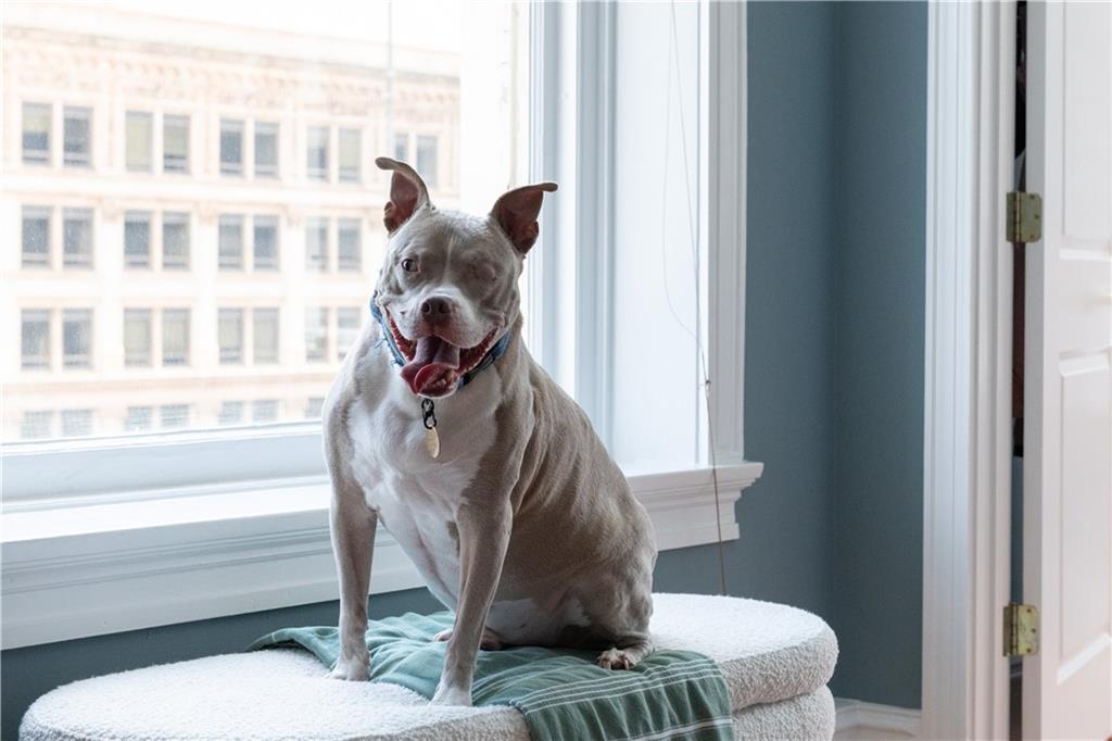 57 Forsyth Street NW Unit 12G