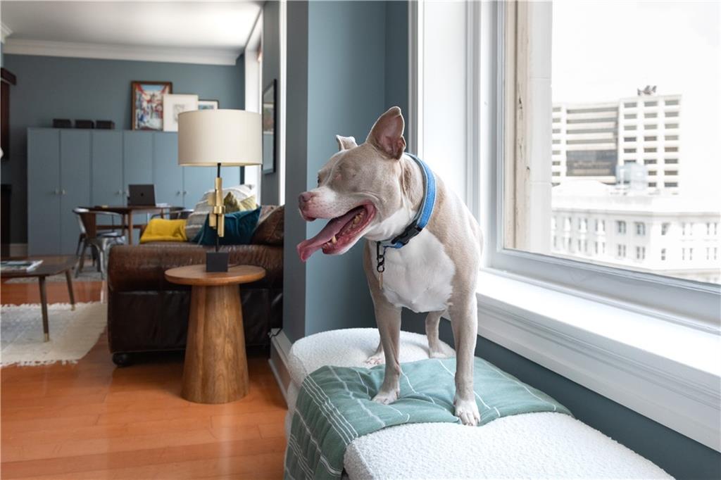 57 Forsyth Street NW Unit 12G