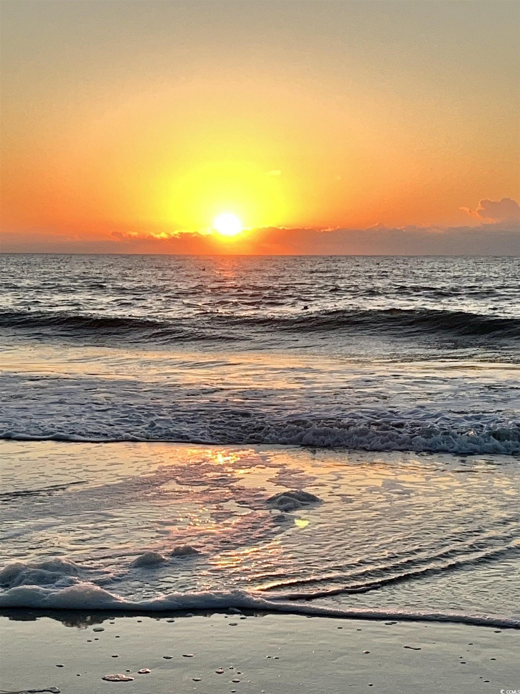 81 Delray Dr. Unit: 2-C