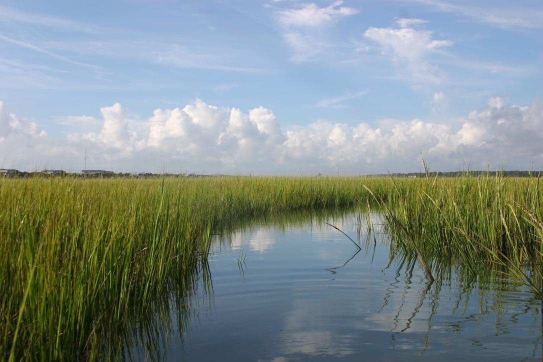 77 Hallandale Lane Unit: Right