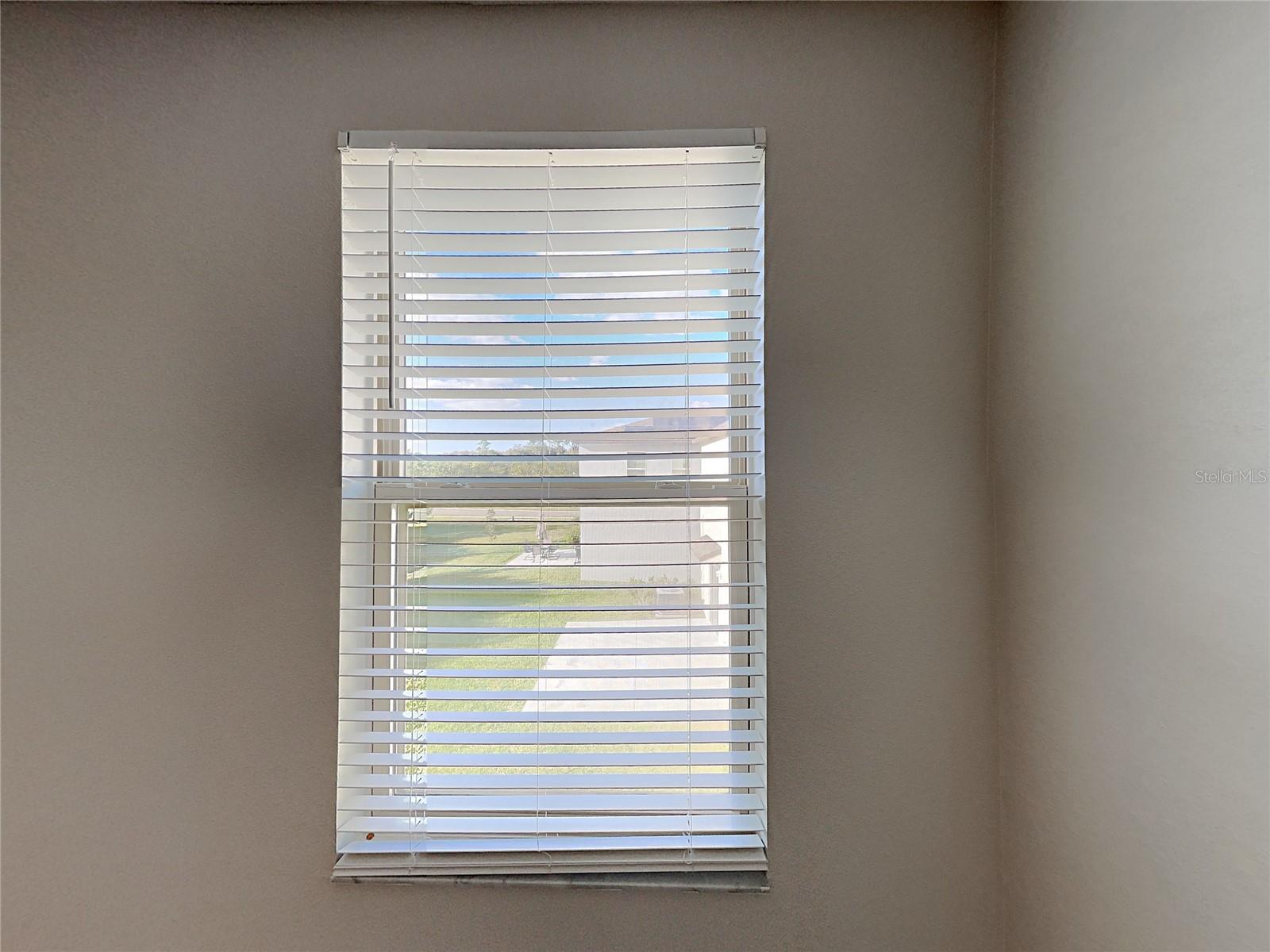 15320 BROAD BRUSH DR