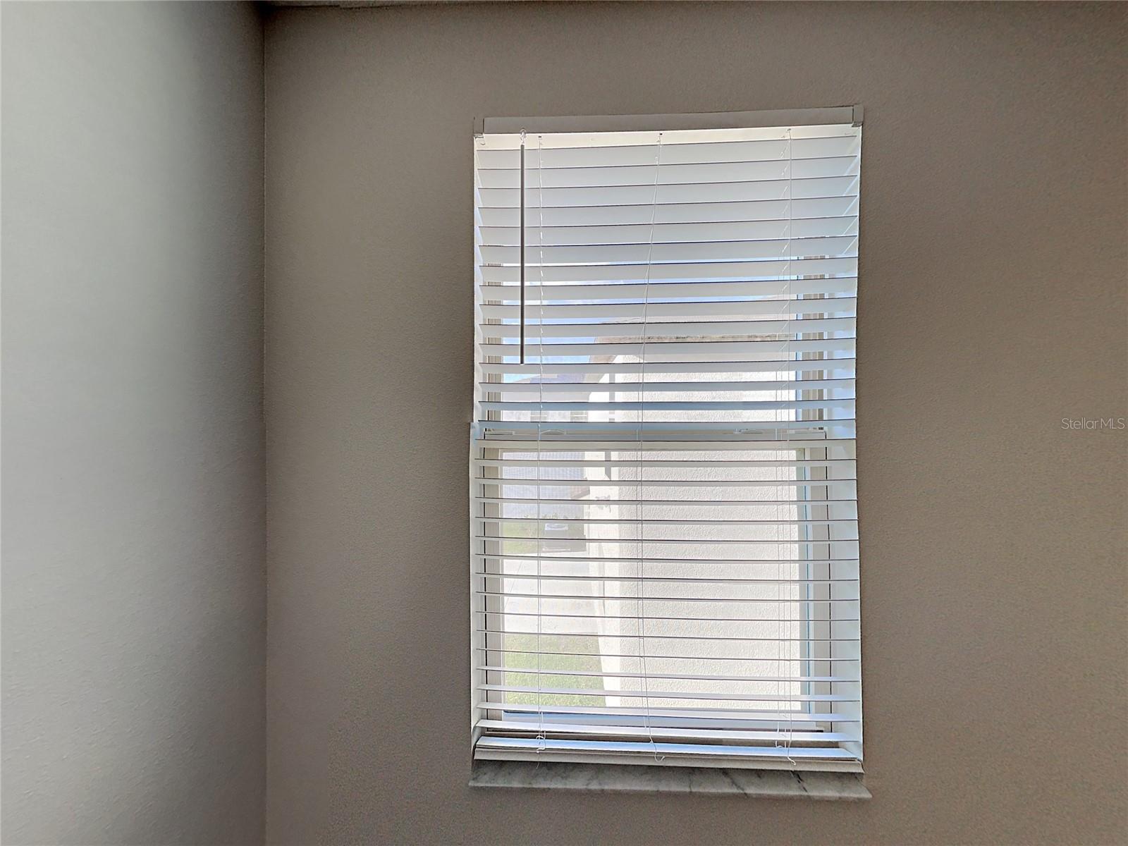 15320 BROAD BRUSH DR