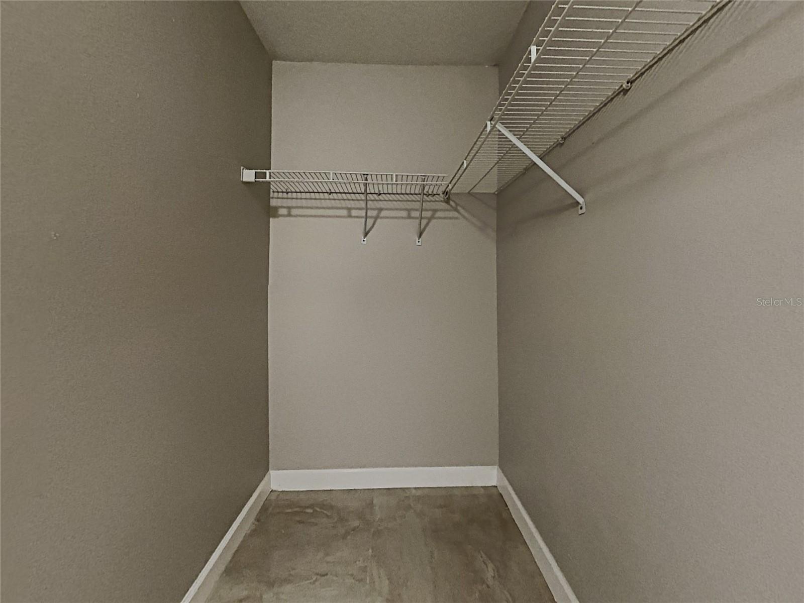 1349 AMERICAN ELM DR