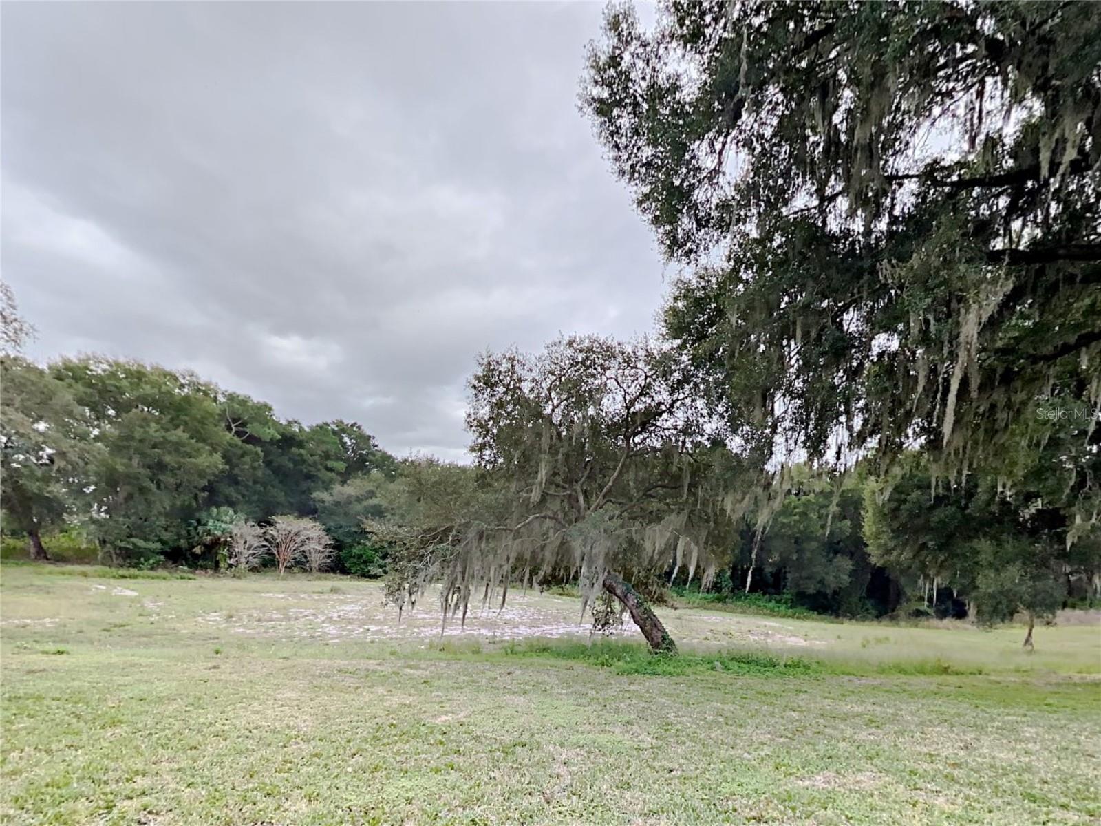 1804 STONEYWOOD WAY
