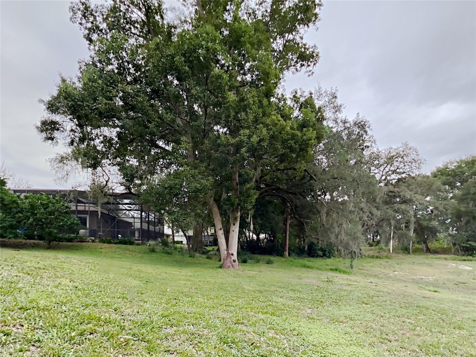 1804 STONEYWOOD WAY