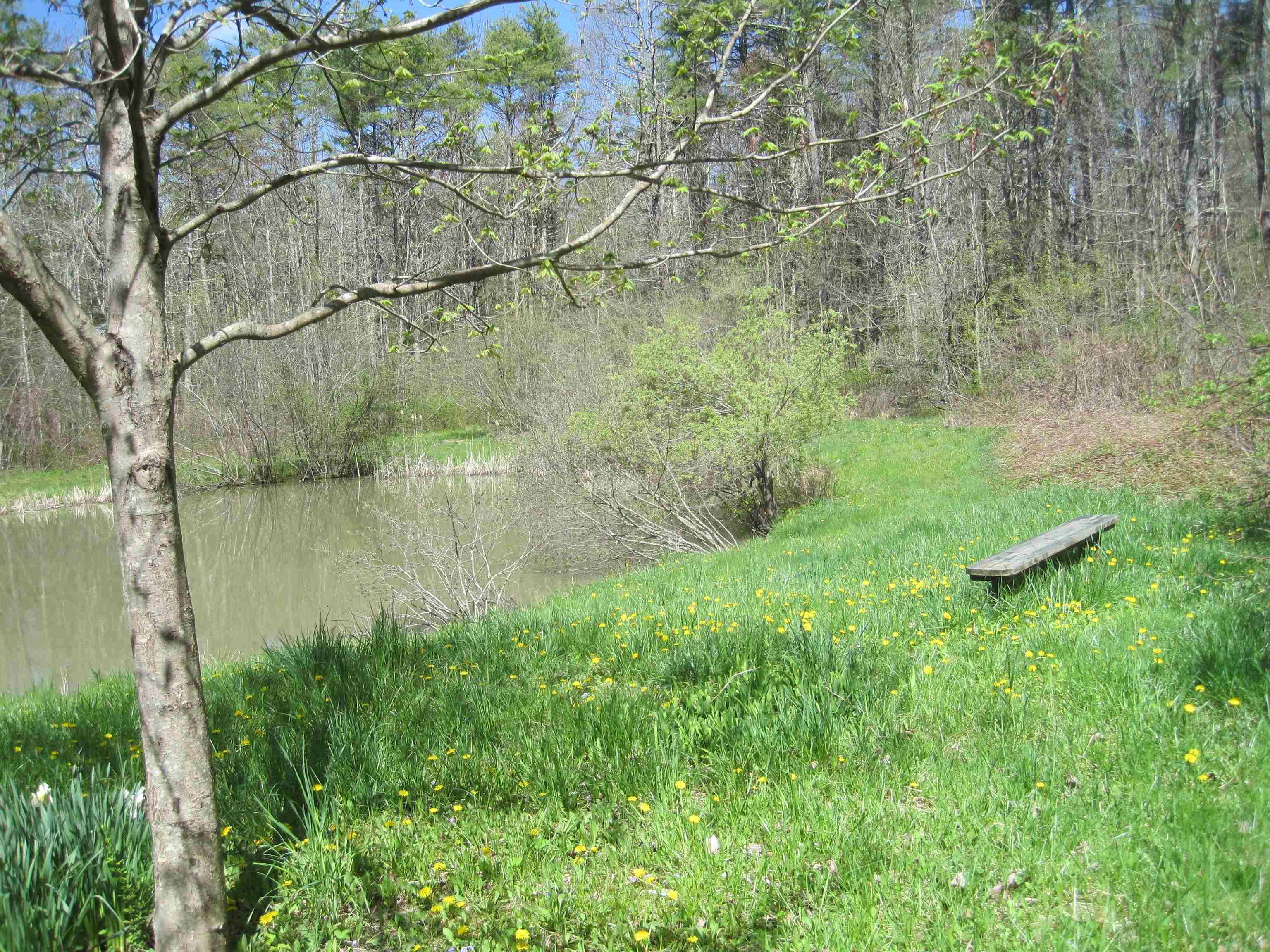 22 Lamprey Lane