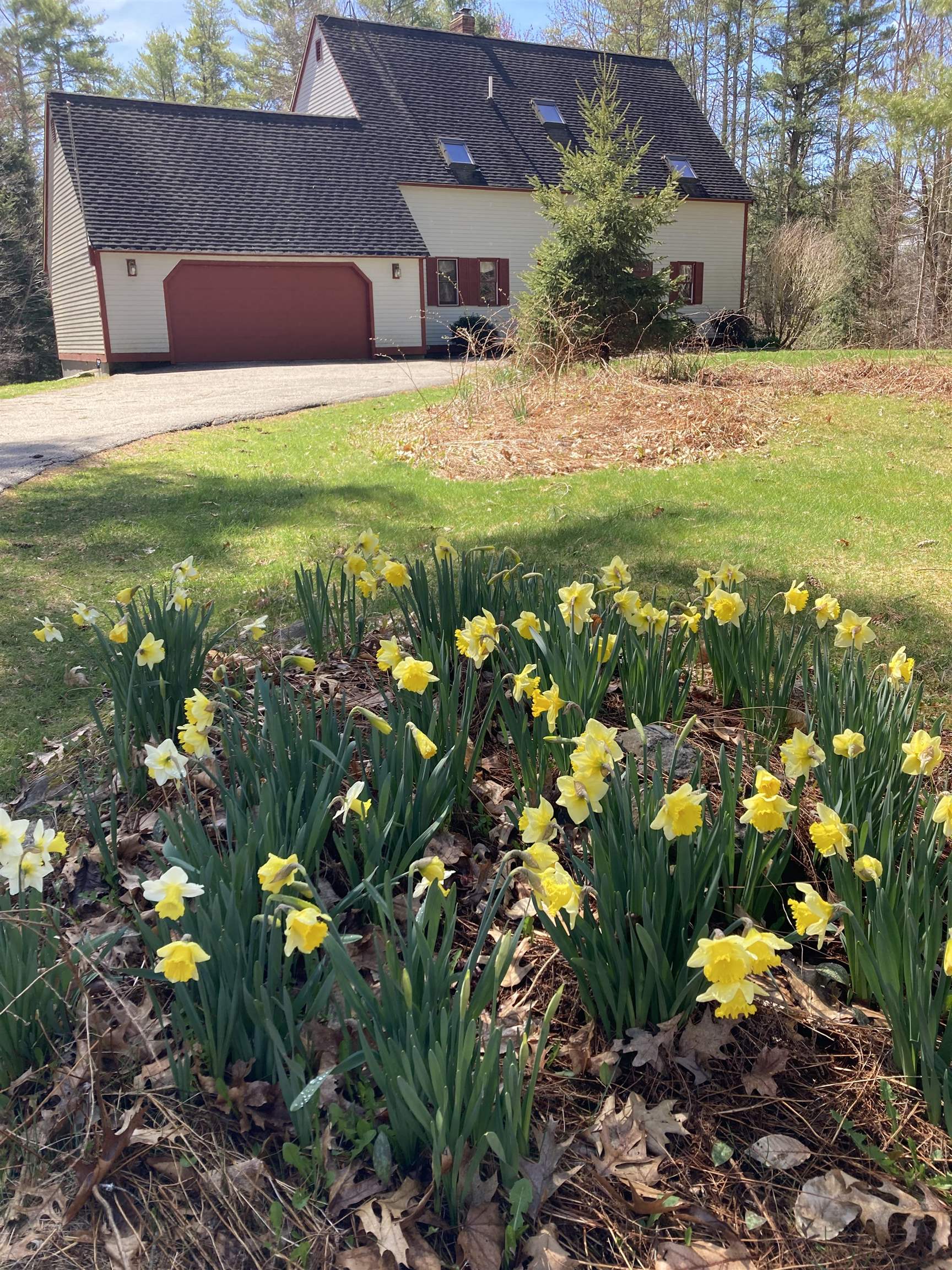 22 Lamprey Lane