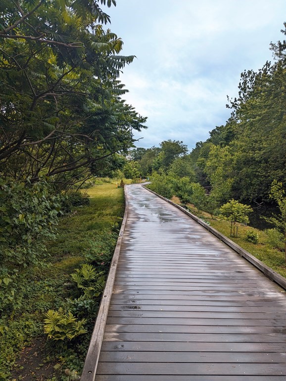 2 Arizona Terrace # 4