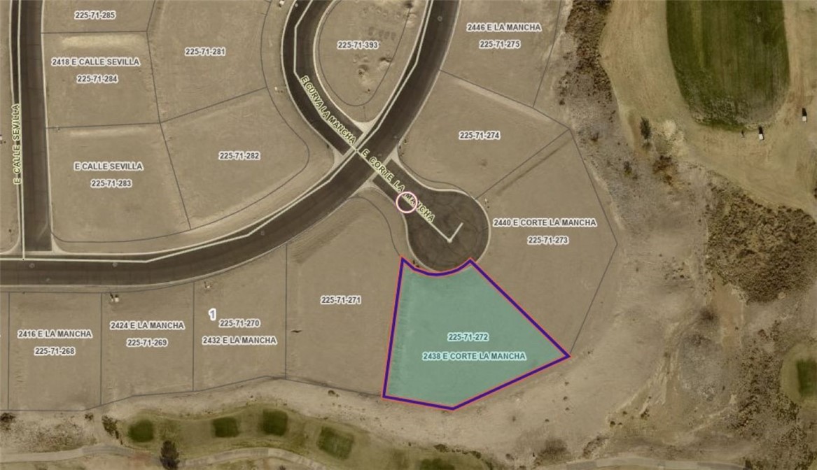 2438 E Corte La Mancha