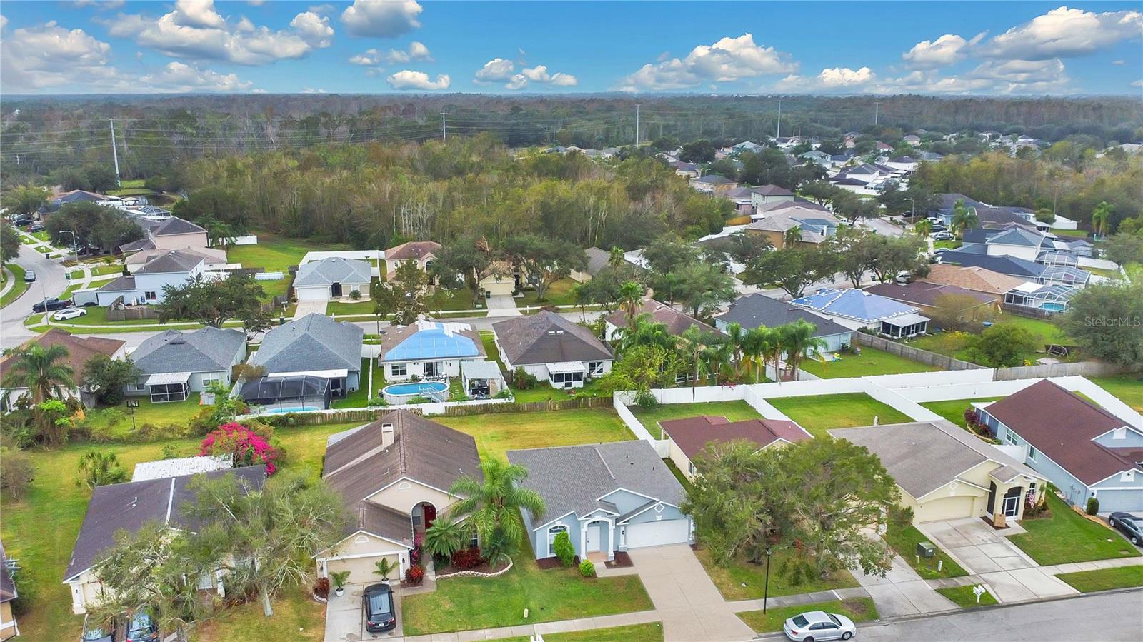 3141 CASTLE ROCK CIR
