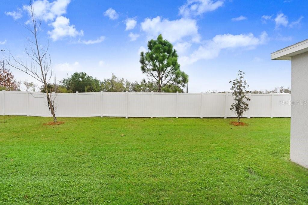 35881 MORSE WILLOW CT