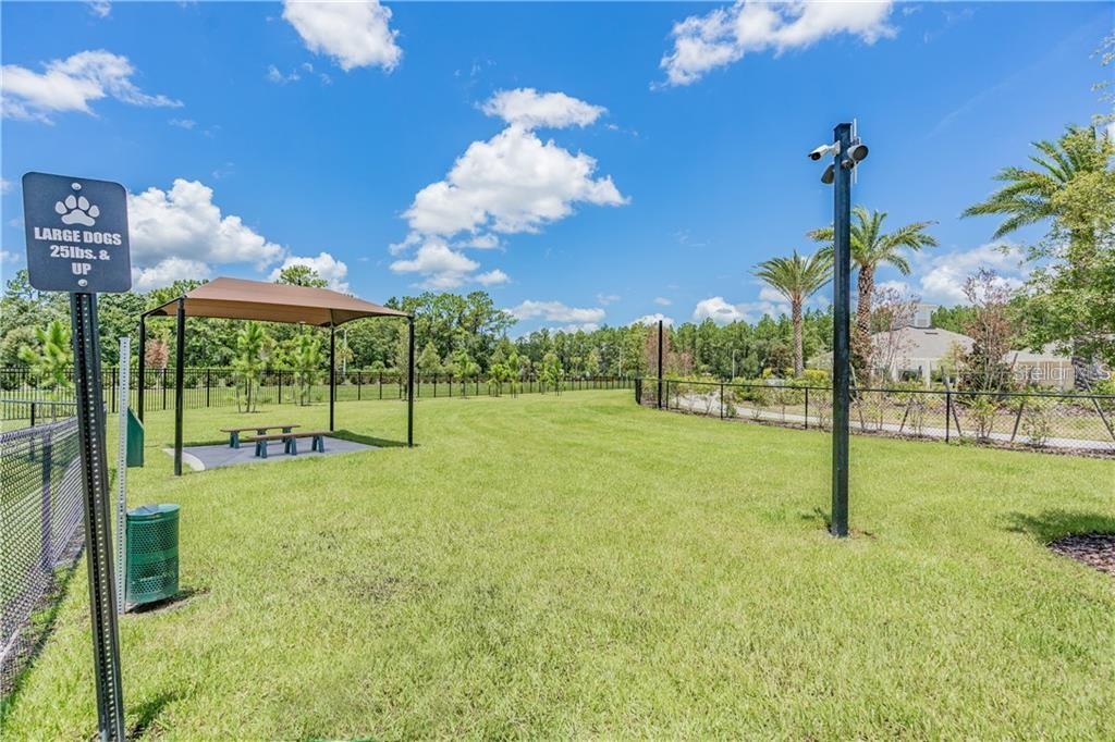 32242 SUMMERGLADE DR