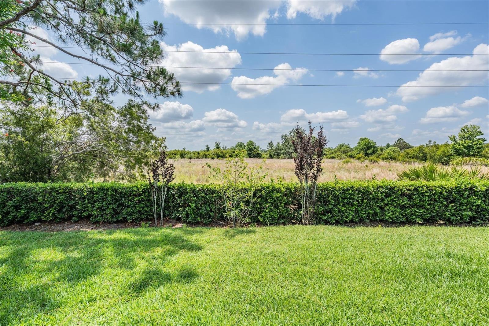 32242 SUMMERGLADE DR