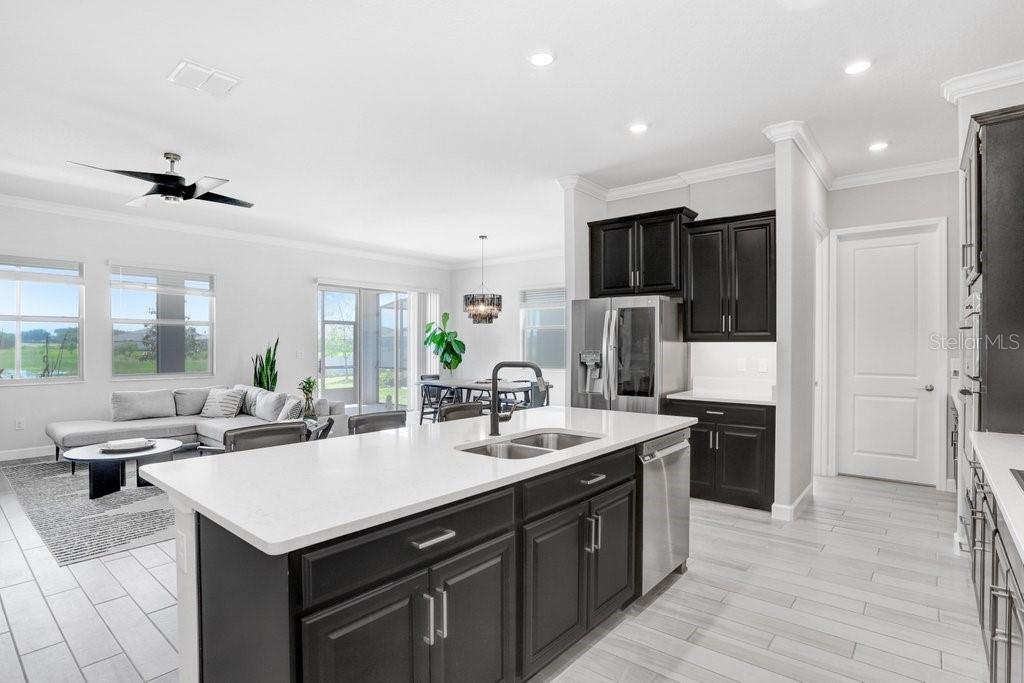 31650 CANNON RUSH DR