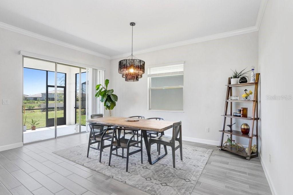 31650 CANNON RUSH DR