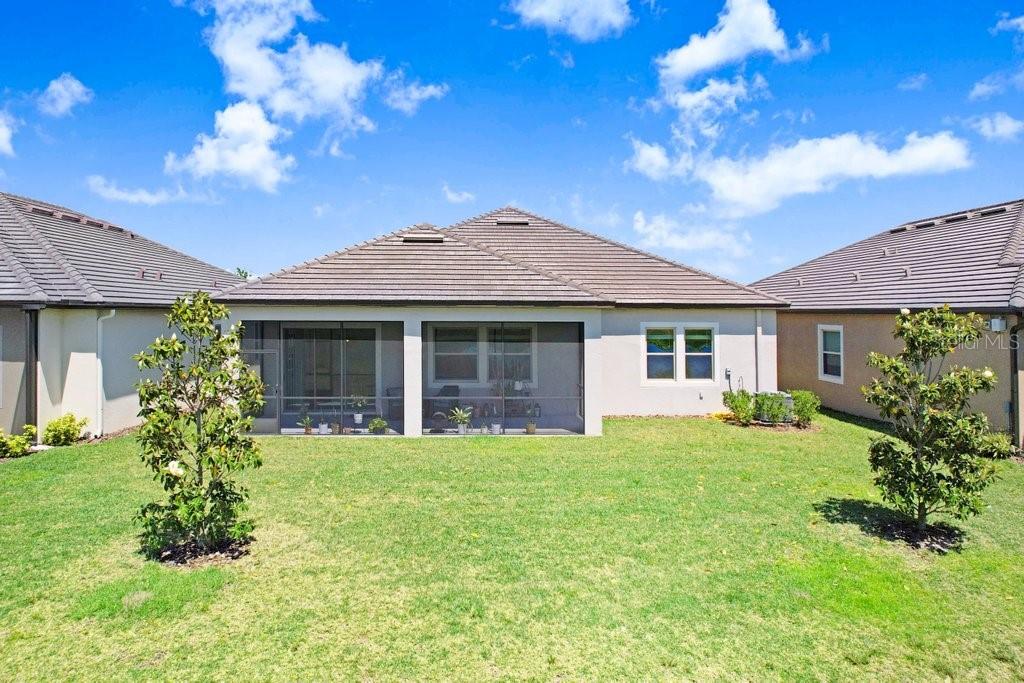 31650 CANNON RUSH DR