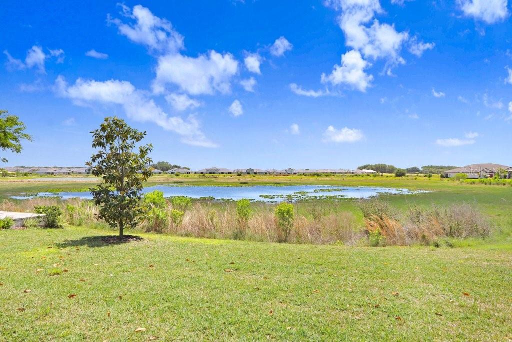 31650 CANNON RUSH DR