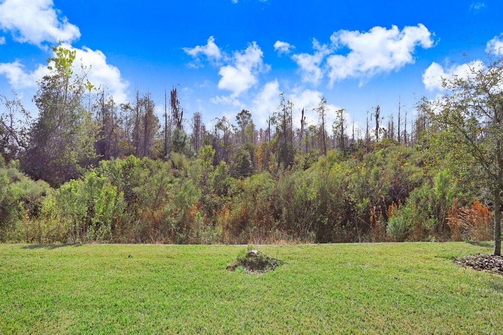 30758 CHESAPEAKE BAY DR