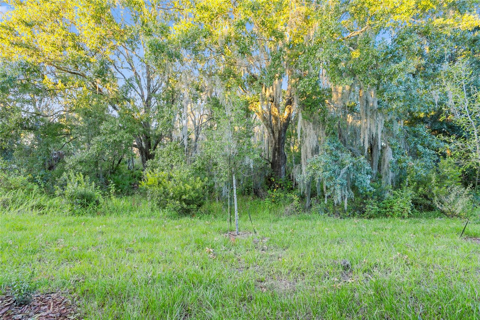 32859 PEZ LANDING LN