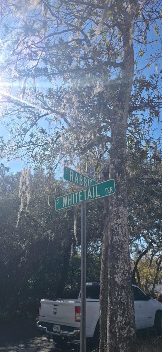 4864 S WHITETAIL TER