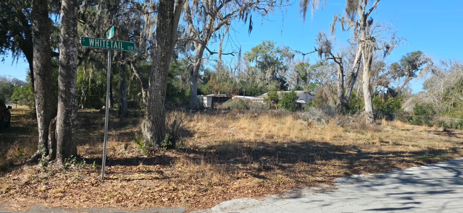 4864 S WHITETAIL TER